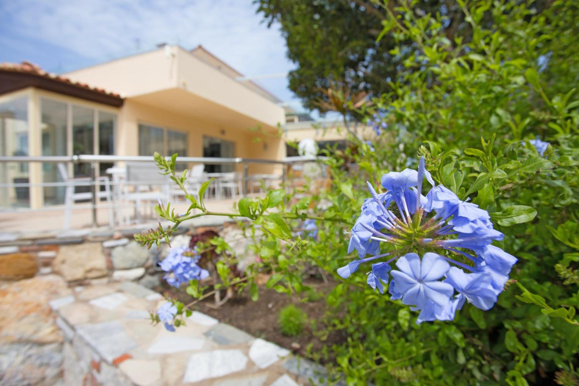 Achilleas Beach Hotel Adults Only Mastichari  Exterior photo